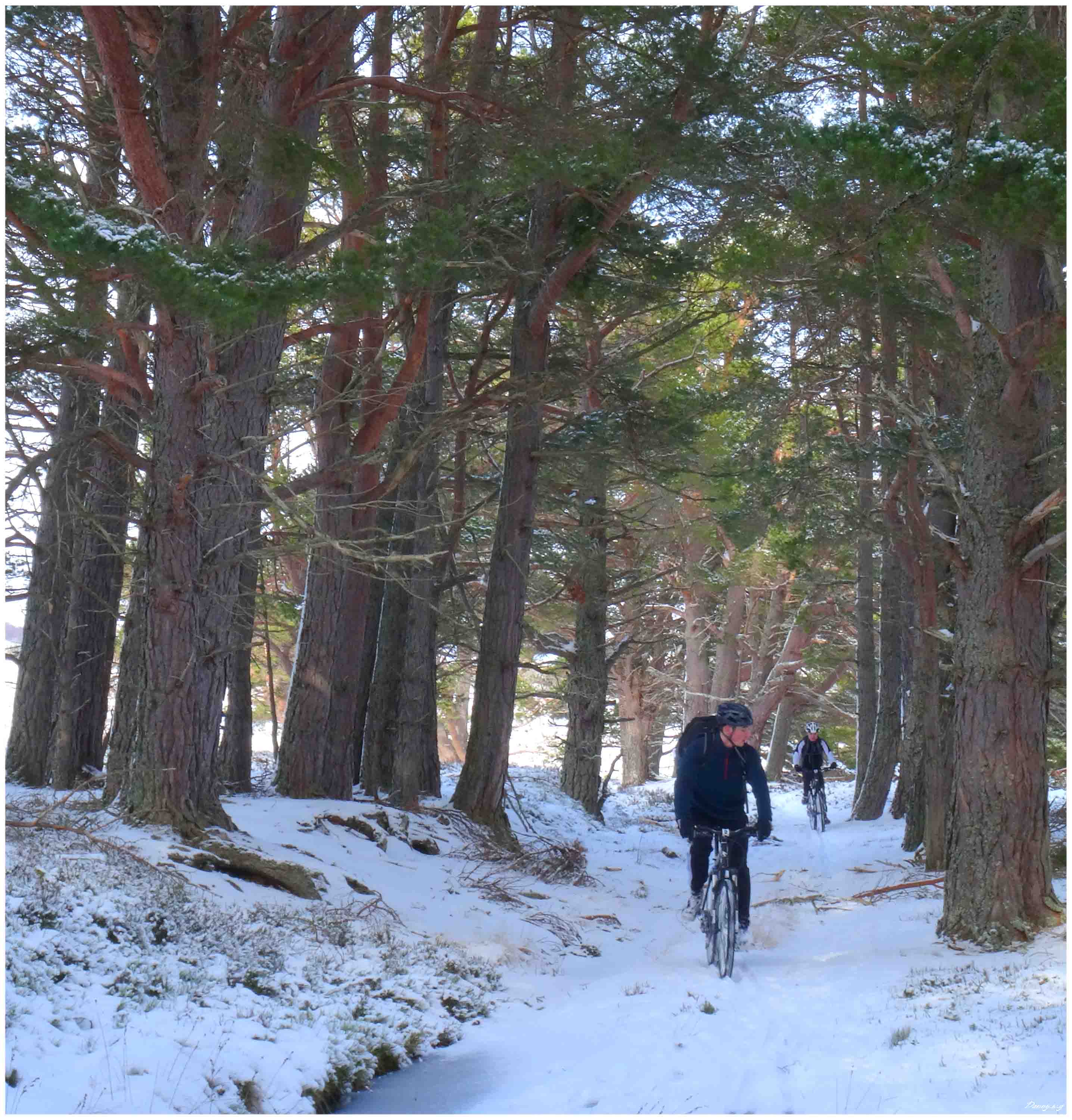 MTBing Scotland