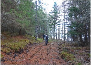 Guided Mountain Biking