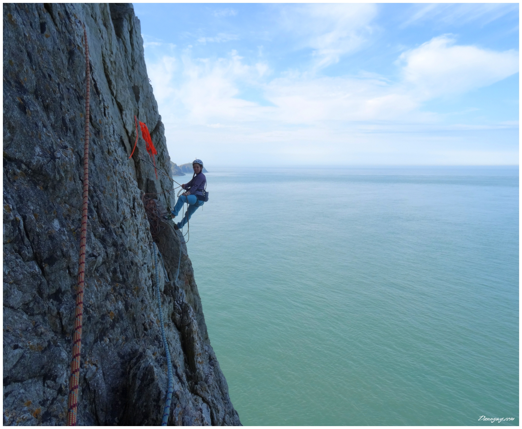 A dream of white horses