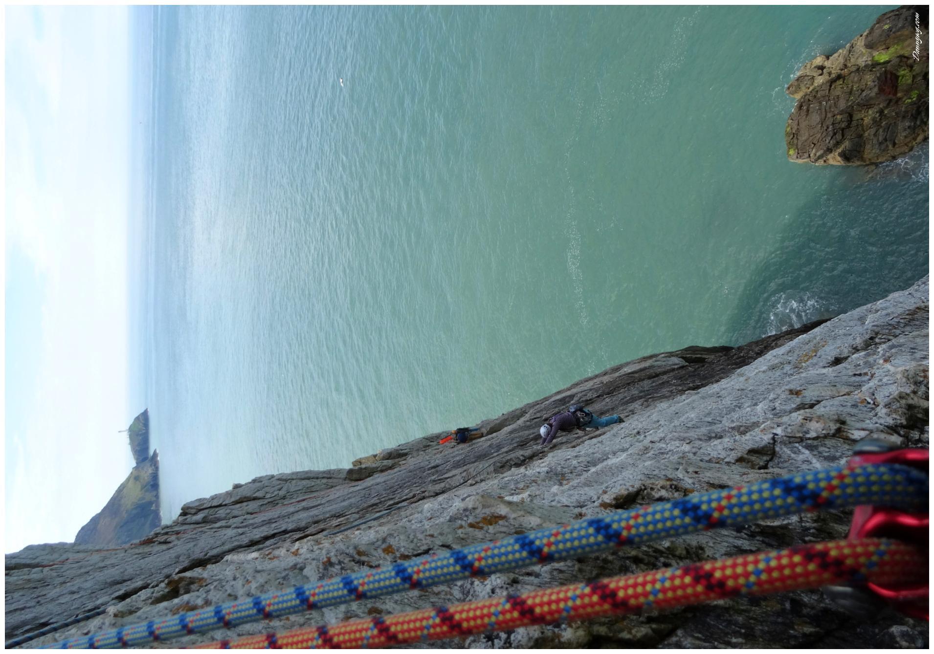 A dream of white horses