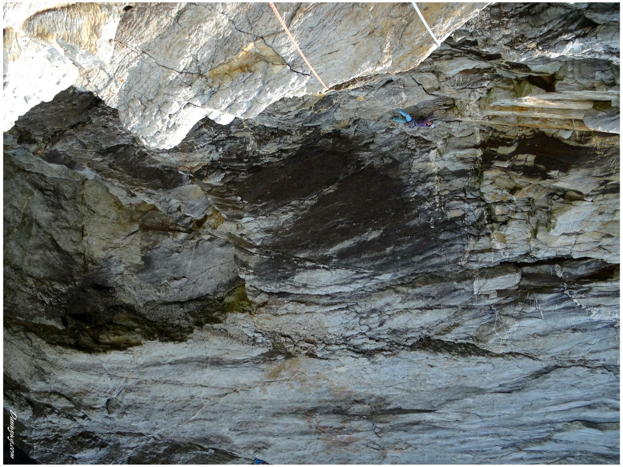 A dream of white horses