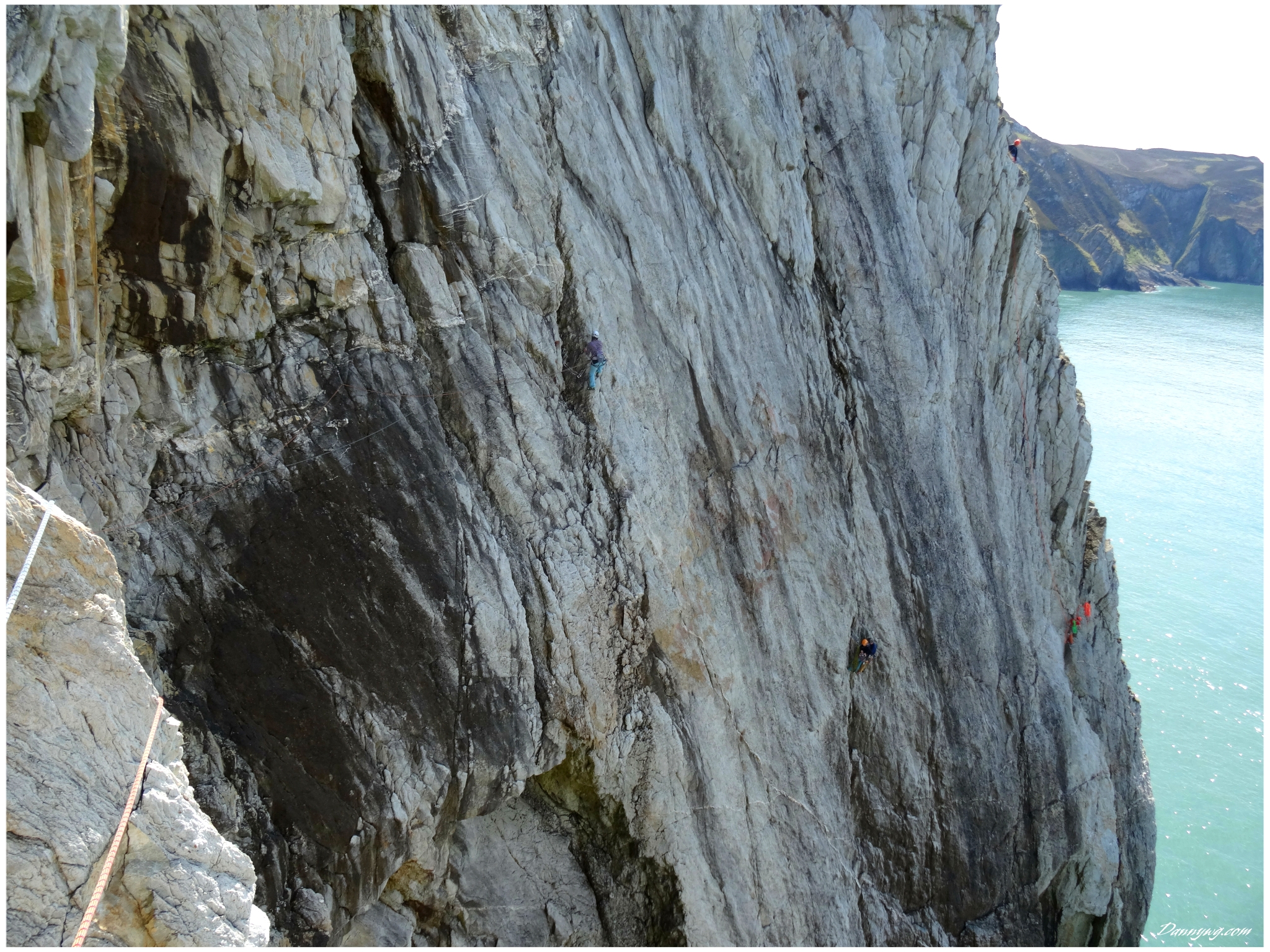 A dream of white horses