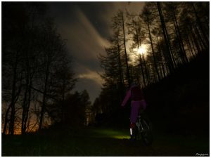MTB Night Ride