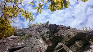 Trad multi pitch refresher