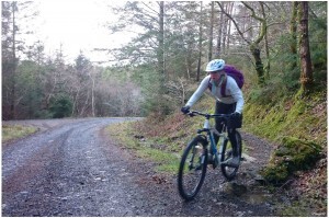 MTB Fundamentals