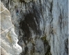 A dream of white horses